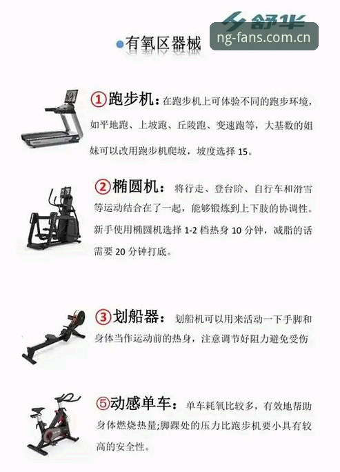 NG体育适配设备教程：多平台稳定运行的完整操作指南
